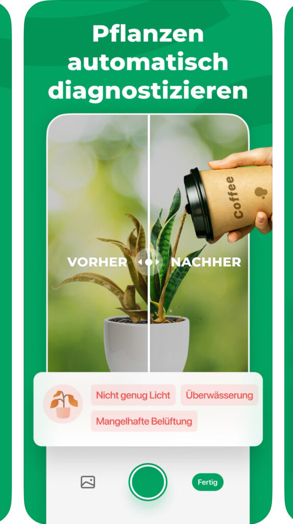 Screenshot PictureThis-App – Pflanzen per Foto erkennen und bestimmen mit KI für Garten- und DIY-Projekte