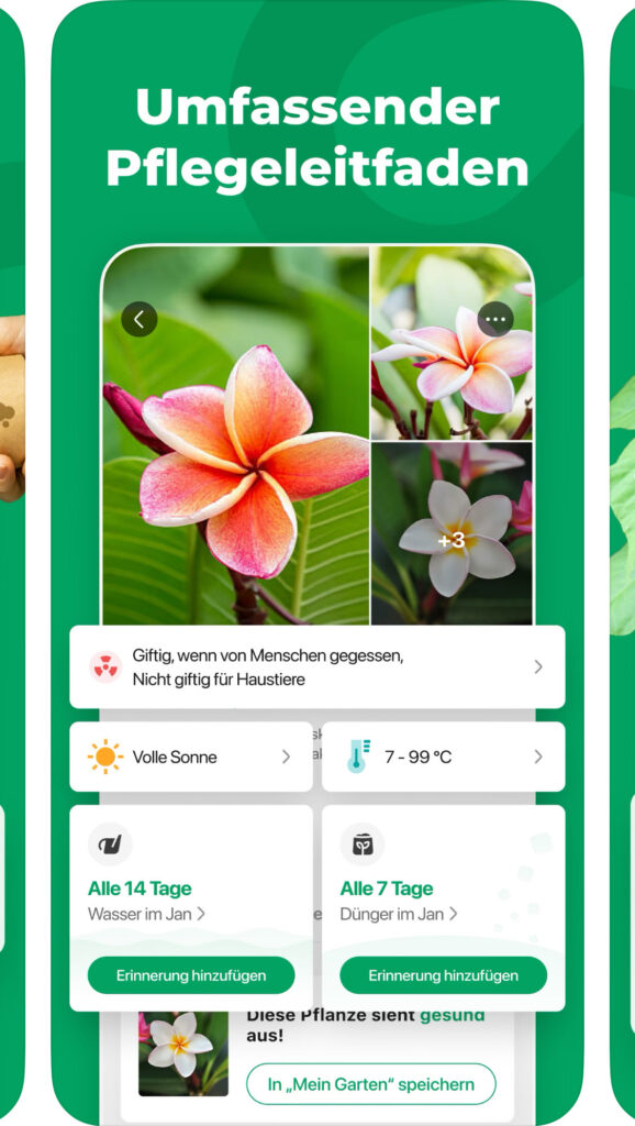 PictureThis Detailansicht: Giftigkeit, Pflegetipps und Krankheiten einer Pflanze